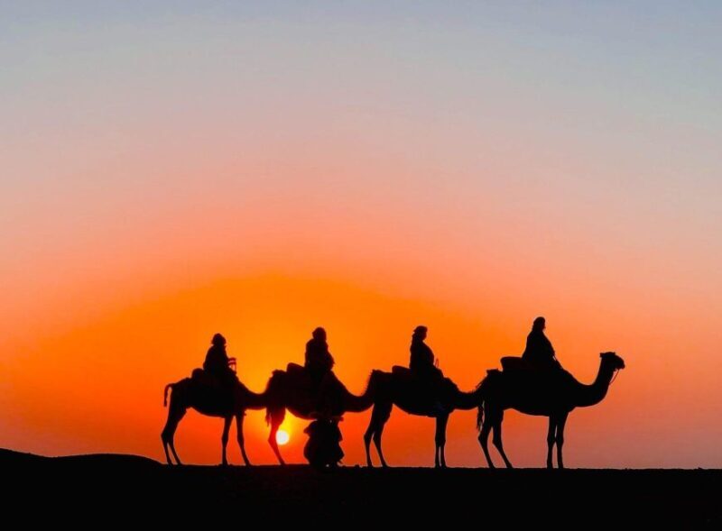 Marrakech Dinner Show Agafay Desert with Camels swiming pool - FAQ