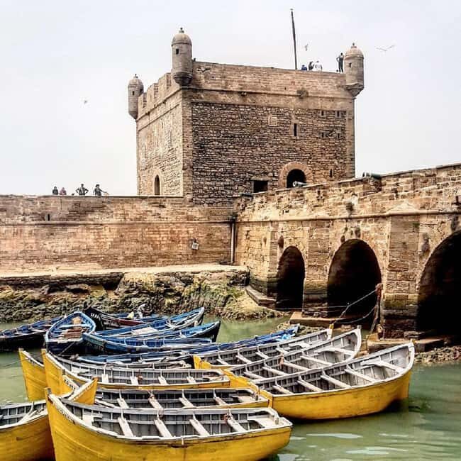 Marrakech: Essaouira Day Trip with Argan Oil Cooperative - Key Points