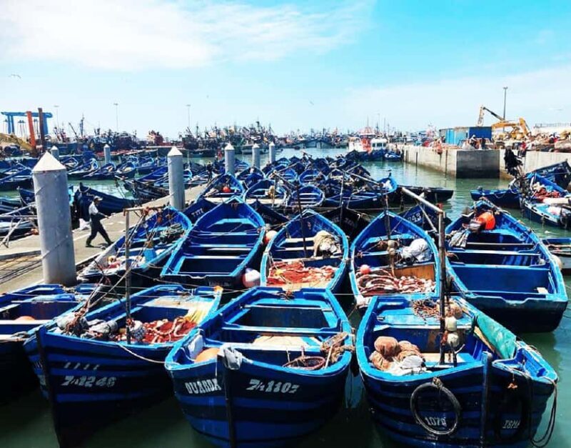 Marrakech: Essaouira Day Trip with Argan Oil Cooperative - The Culinary Experience & Local Culture 