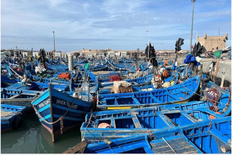 Marrakech: Essaouira Day Trip with Guided Tour - Key Points