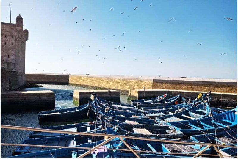 Marrakech: Essaouira Day Trip with Guided Tour - A Detailed Look at the Essaouira Day Trip