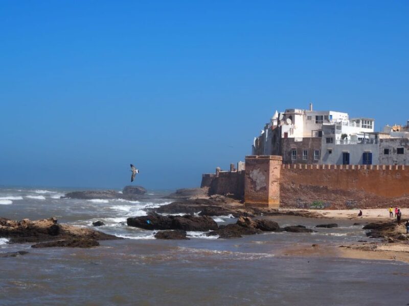 Marrakech: Essaouira Day Trip with Transfers and Co-op Visit - The Itinerary: What to Expect from Start to Finish