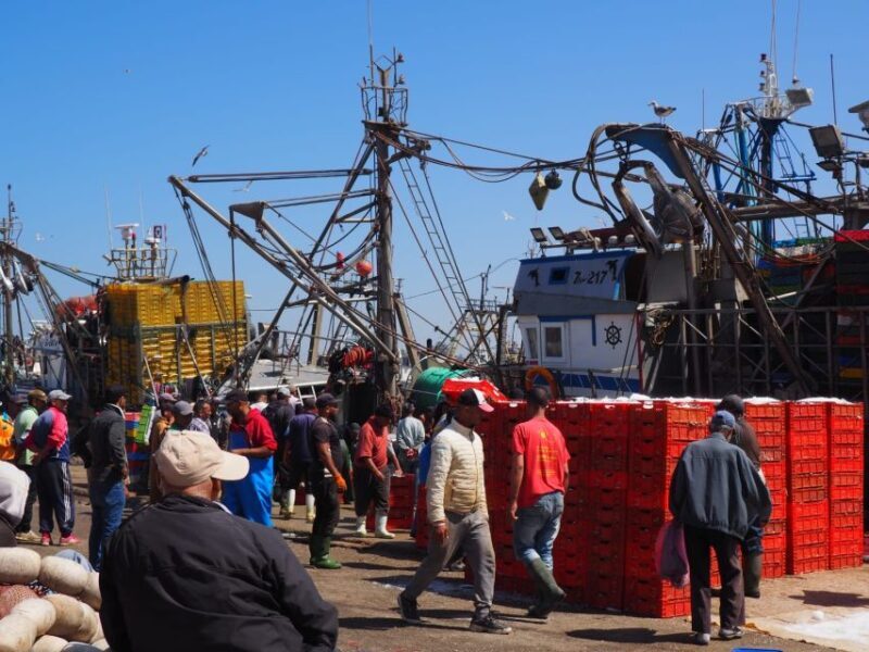 Marrakech: Essaouira Day Trip with Transfers and Co-op Visit - Who Is This Tour Best For?