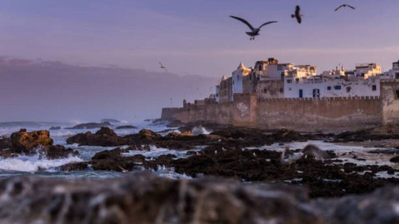 Marrakech: Essaouira Full-Day Trip - Exploring the Itinerary: What to Expect