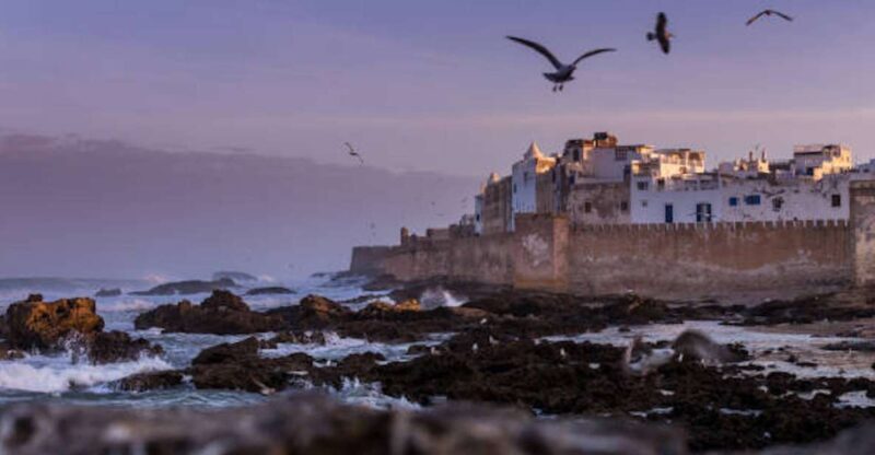 Marrakech: Essaouira Full-Day Trip - The Pros and Cons Based on Reviews