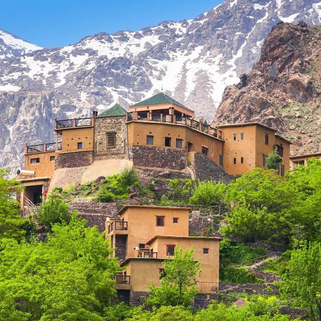 Marrakech: experience Berber culture & Atlas Mountains - Authentic Experiences & Honest Insights from Past Travelers