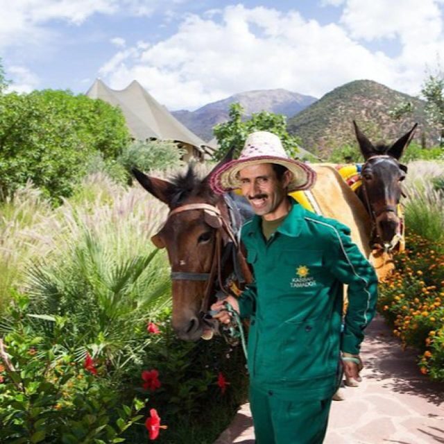 Marrakech: experience Berber culture & Atlas Mountains - Final Thoughts