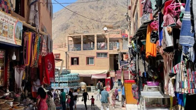 Marrakech: Full-day Adventure Trip to High Atlas Mountains - Key Points