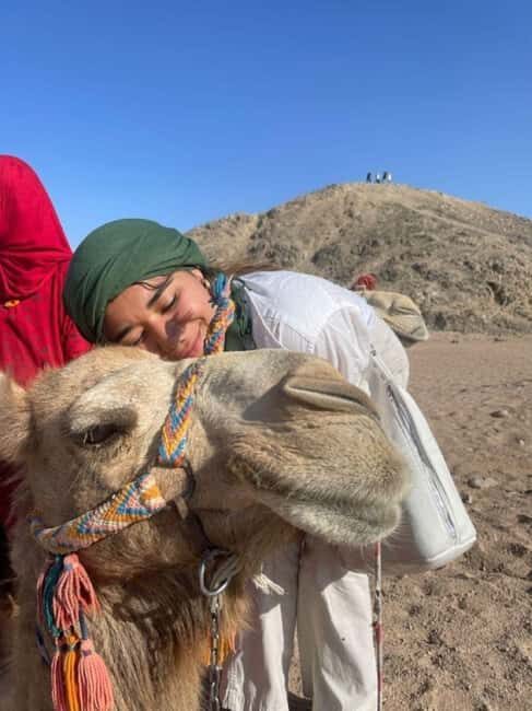 Marrakech: Full-Day Camel Ride, Quad Bike, & Spa Tour - Key Points
