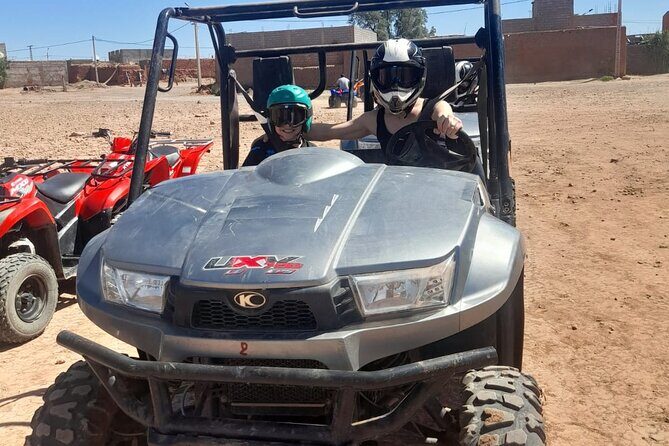 Marrakech Grove Palm Buggy Tour - Authentic Experiences and Tips