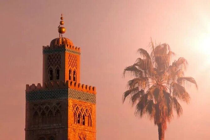 Marrakech Guided Day Trip with Pickup From Taghazout or Agadir - Key Points