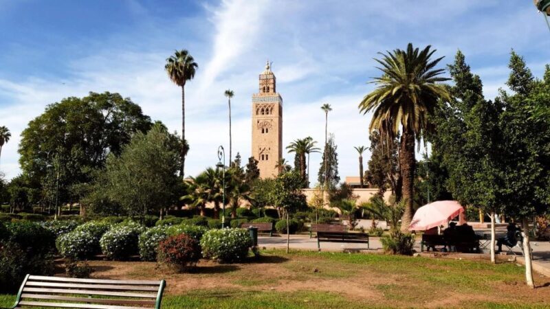 Marrakech: Guided Medina History & Culture Tour - Key Points