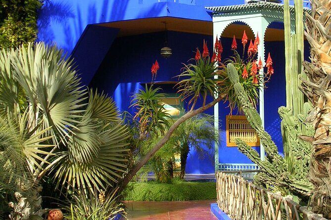 Marrakech guided tour by Van - What to Expect from the Experience