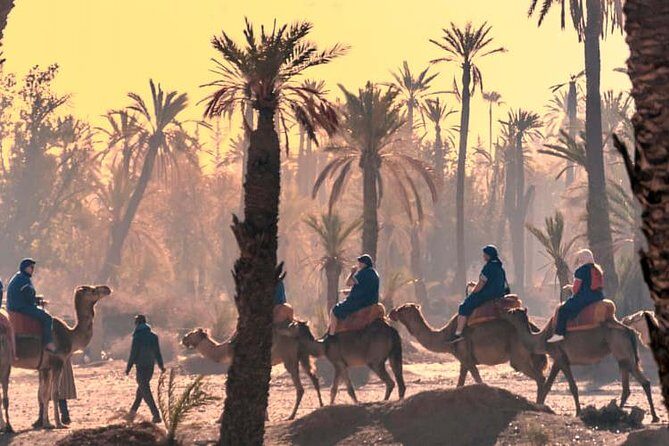 Marrakech Guided Tour From Casablanca With Camel Ride - Whats Included and What to Consider