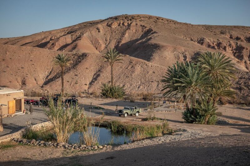 Marrakech: Half-Day Agafay Rock Desert Buggy Tour - Who Will Love This Tour?
