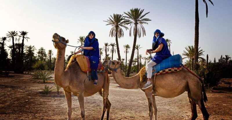 Marrakech: Half-Day Camel Ride in Palm Grove - Final Thoughts
