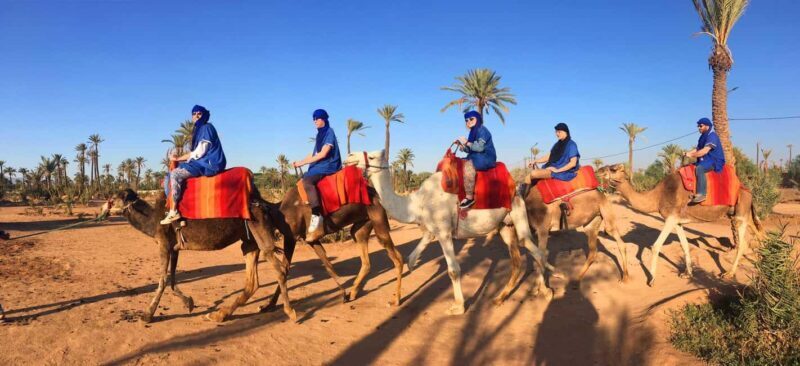 Marrakech: Half-Day Camel Ride in Palm Grove - FAQs