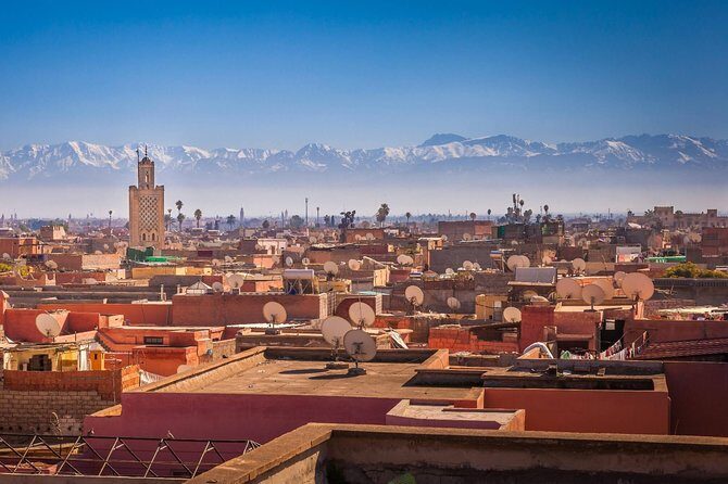 Marrakech Half-Day Cultural Walking Tour (No Shopping) - Who is This Tour Best For?