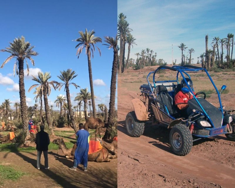 Marrakech: Half-day Dunes Trip With Buggy and Camel Ride - Exploring the Itinerary and Experience