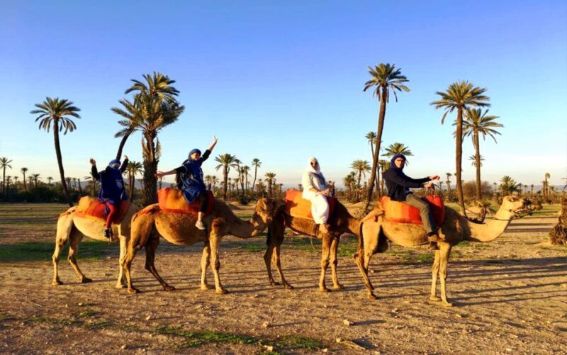 Marrakech: Half-day Dunes Trip With Buggy and Camel Ride - Practical Details & Tips for Travelers