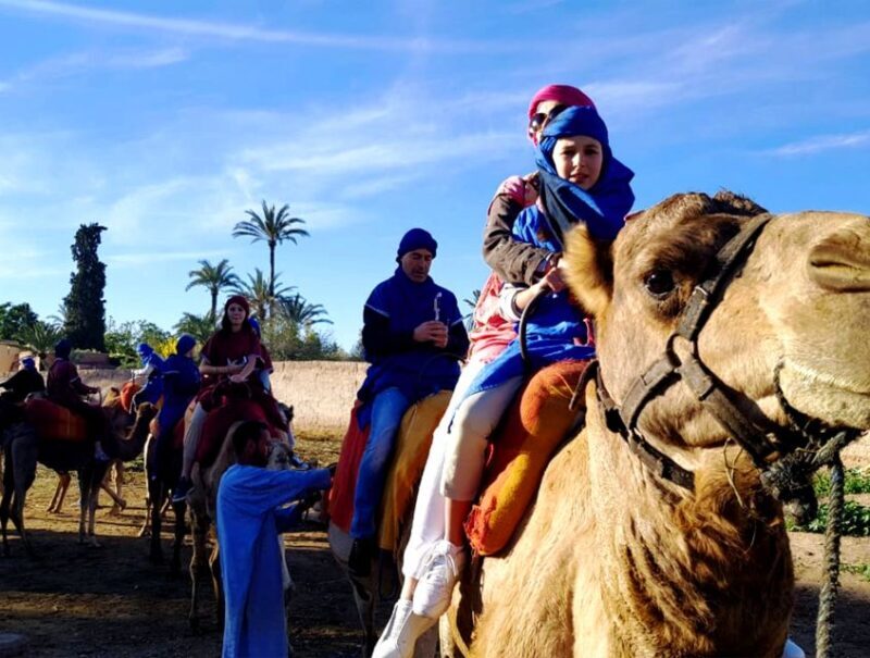 Marrakech: Half-day Dunes Trip With Buggy and Camel Ride - Final Verdict: Who Will Love This Tour?