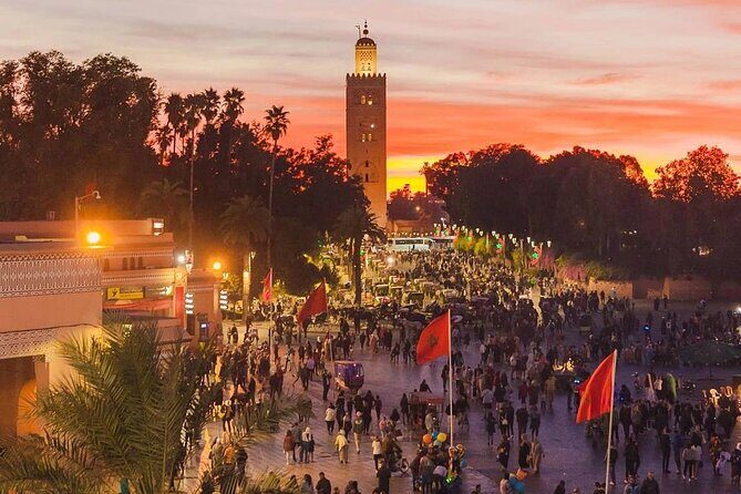Marrakech : half-day guided Immersive City Tour, Old City & Souks - Why Choose This Marrakech Tour?