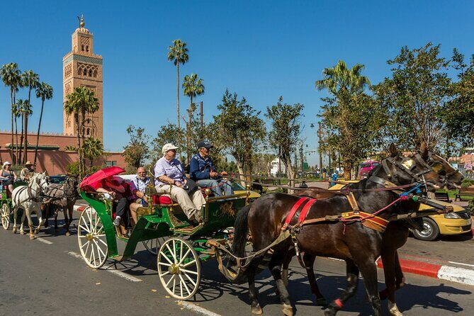 Marrakech Half Day Private Guided City Tour - Who Is This Tour Best For?