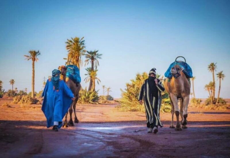 Marrakech Half Day Tour: Camel Ride And Quad Biking - What to Expect from the Marrakech Half Day Tour