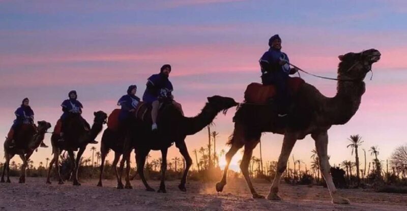 Marrakech Half Day Tour: Camel Ride And Quad Biking - The Experience in Perspective