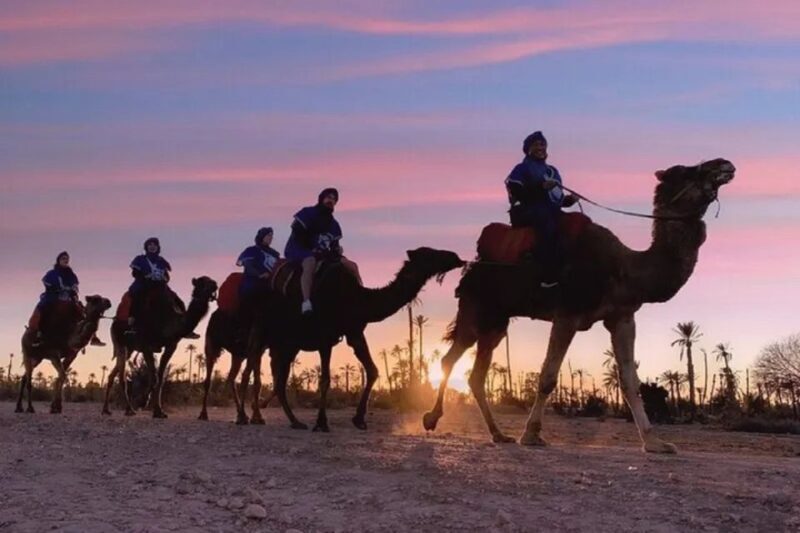 Marrakech Half Day Tour: Camel Ride And Quad Biking - Frequently Asked Questions