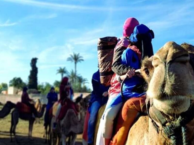 Marrakech: Half-Day Tour with Buggy Ride, Camel Ride and Spa - A Well-Balanced Mix of Thrills and Tranquility
