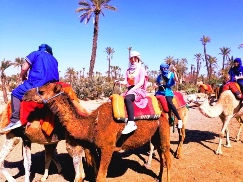 Marrakech: Half-Day Tour with Buggy Ride, Camel Ride and Spa - Value for Money: What You Get