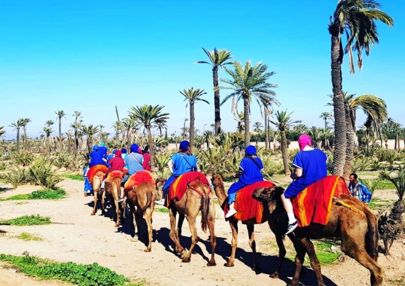 Marrakech: Half-Day Tour with Buggy Ride, Camel Ride and Spa - The Sum Up