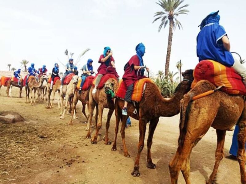 Marrakech: Half-Day Tour with Buggy Ride, Camel Ride and Spa - FAQ
