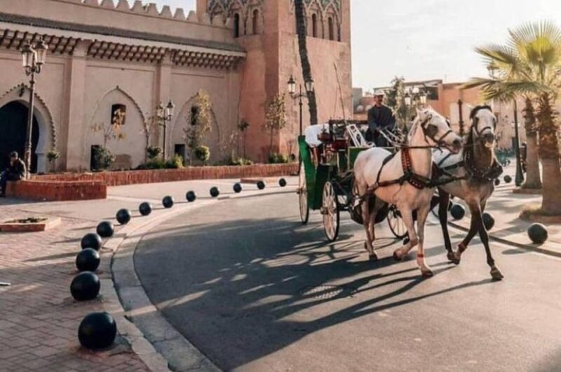 Marrakech: Hidden Souks Shopping Tour with Private Guide - FAQ