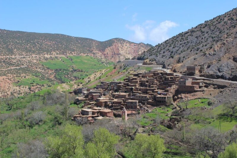 Marrakech: High Atlas Mountains and Agafay Desert Day Tour - Key Points