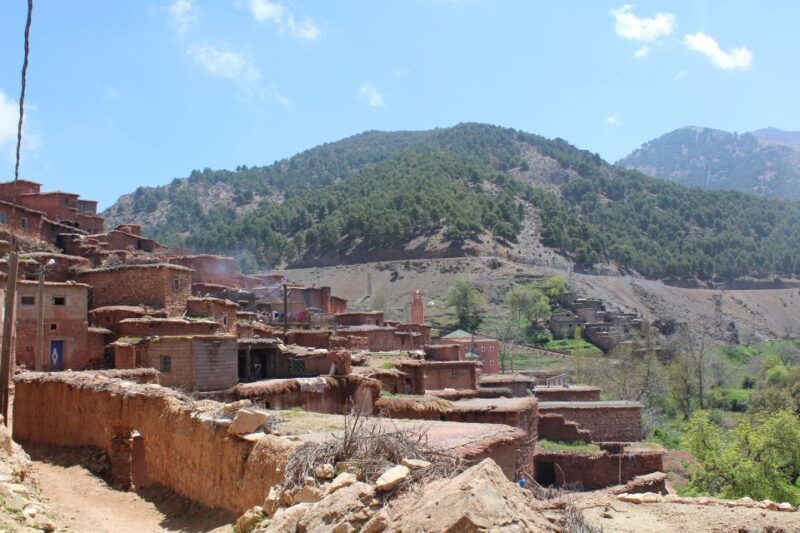 Marrakech: High Atlas Mountains and Agafay Desert Day Tour - The Full Experience: What Makes This Tour Special