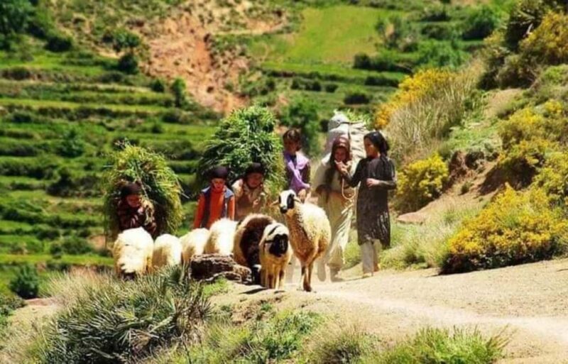 Marrakech: High Atlas Mountains, Valleys, & Waterfalls Tour - The Sum Up