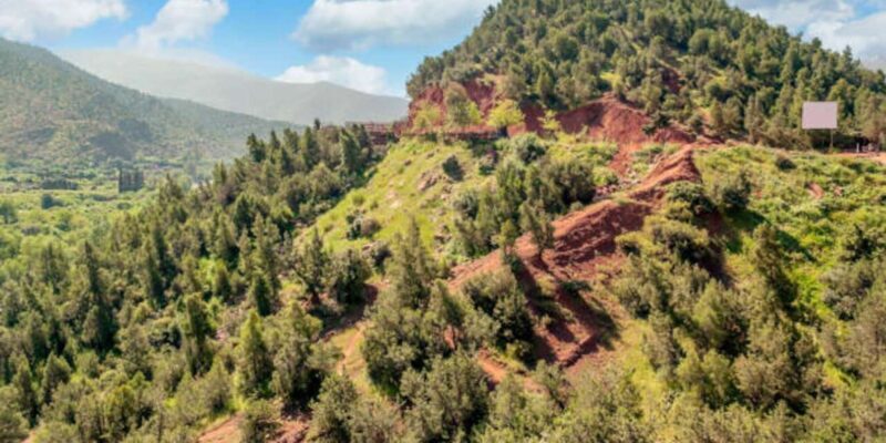 Marrakech: High Mountains Summit Guided Day Trek - What You Can Expect from This Mountain Trek