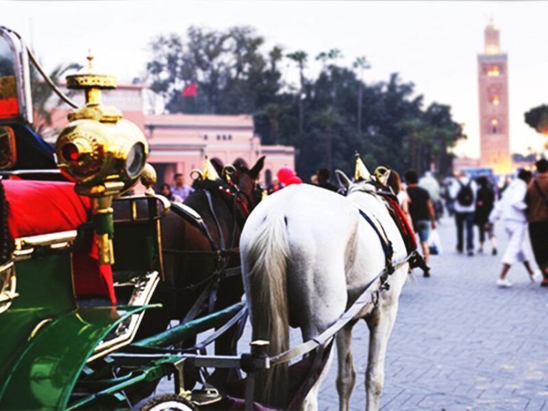 Marrakech: Horse-Drawn Carriage Tour - Exploring Marrakech from the Seat of a Carriage