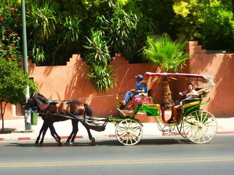Marrakech: Horse-Drawn Carriage Tour - The Experience from the Guides and Passengers