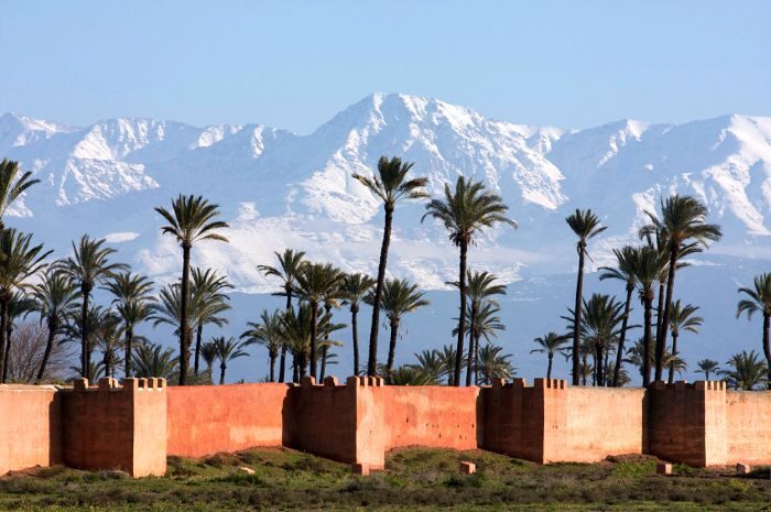 Marrakech: Horse-Drawn Carriage Tour - Who Should Consider This Tour?