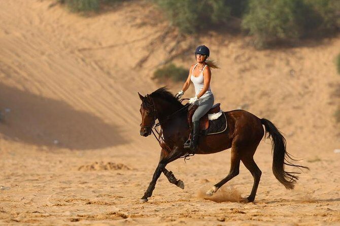 Marrakech Horse Riding - What to Expect from Marrakech Horse Riding