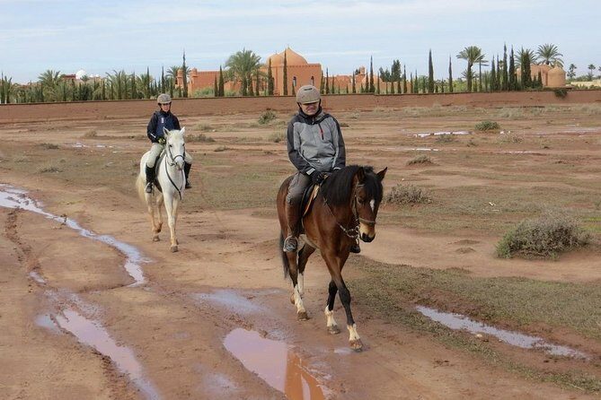 Marrakech Horse Riding - Who Will Love This Tour?