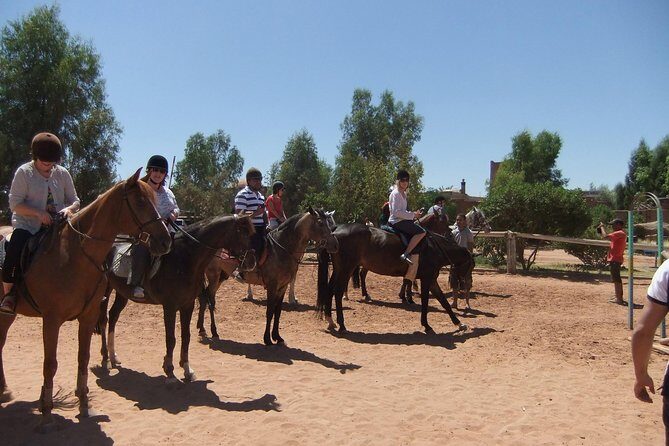 Marrakech Horse Riding - The Sum Up