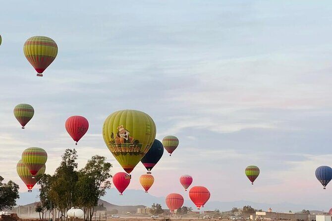 Marrakech Hot Air Balloon Ride: Amazing sunrise experience - An In-Depth Look at the Marrakech Hot Air Balloon Ride