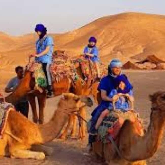 Marrakech: journey Tour with Locals - Key Points