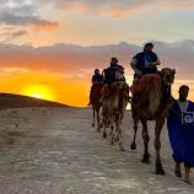 Marrakech: journey Tour with Locals - What to Expect on Your Marrakech Atlas Mountains Day Trip