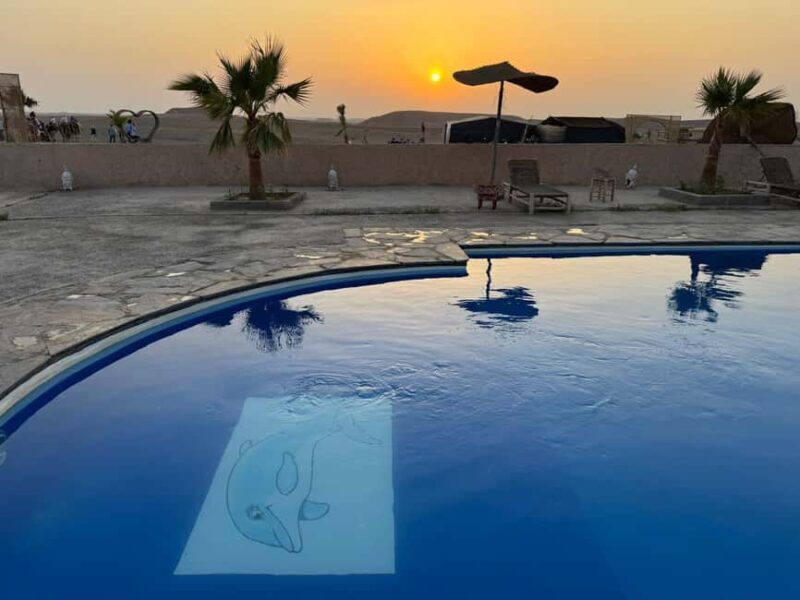 Marrakech Lunch camel ride & and quad bike and swiming pool - Who Is This Tour Best For?