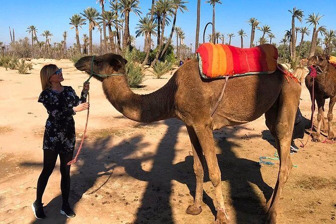 Marrakech Luxery sunset Camel Ride - What to Expect from the Marrakech Luxury Sunset Camel Ride